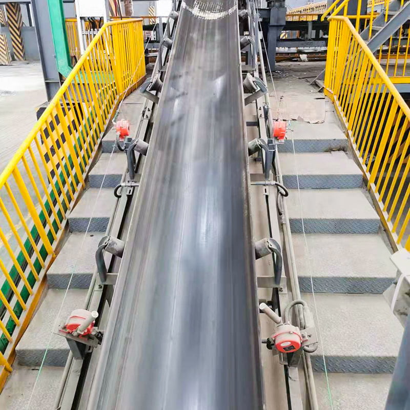TD75 Cingulum Conveyor